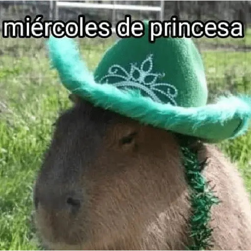 La Semana con Capibaras🦛🗓️✨