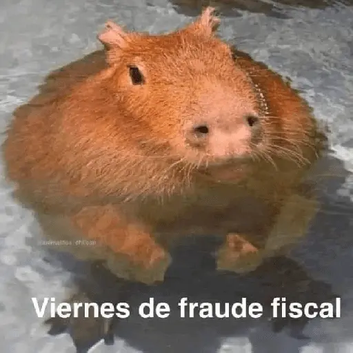 La Semana con Capibaras🦛🗓️✨