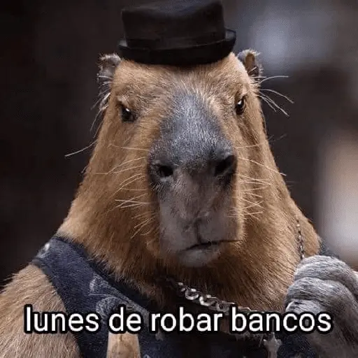La Semana con Capibaras🦛🗓️✨
