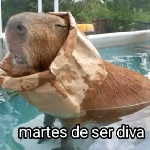 La Semana con Capibaras🦛🗓️✨