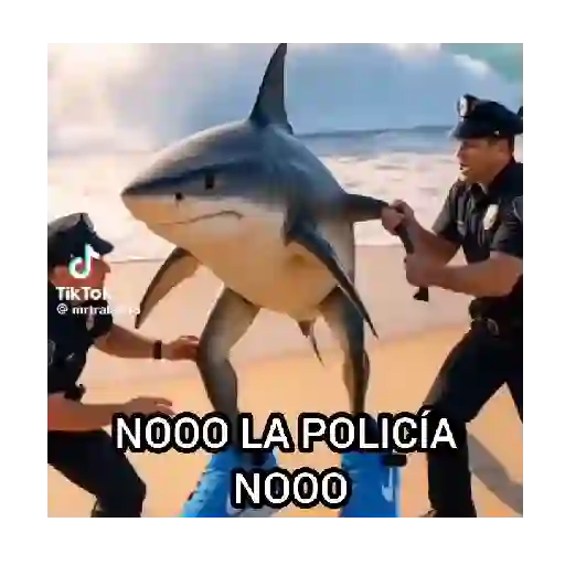 Noo la policía noo 🚔🚓