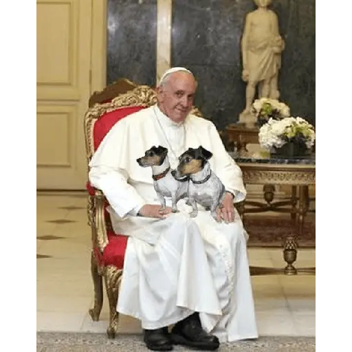 Papa Francisco🕊️
