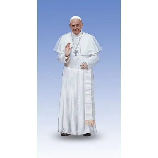 Papa Francisco🕊️