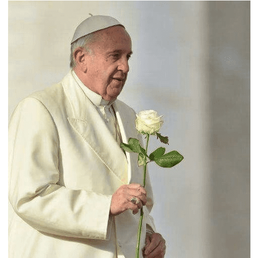 Papa Francisco🕊️ preview