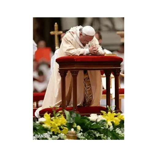 Papa Francisco🕊️