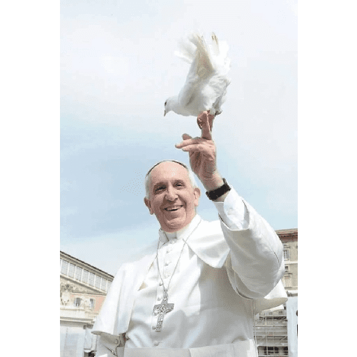 Papa Francisco🕊️ preview