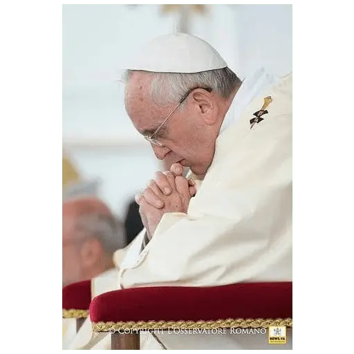 Papa Francisco🕊️
