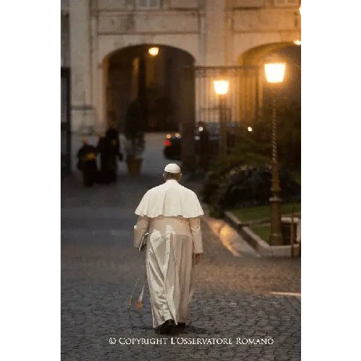 Papa Francisco🕊️