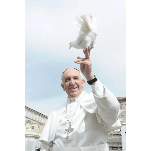 Papa Francisco🕊️