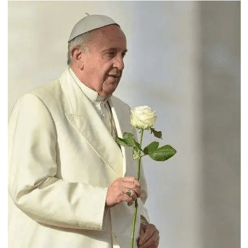 Papa Francisco🕊️