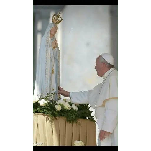 Papa Francisco🕊️