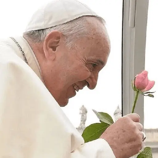 Papa Francisco🕊️