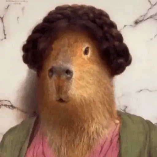 Capibara Random 🍉