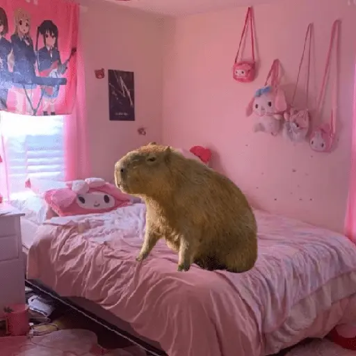 Capibara Random 🍉
