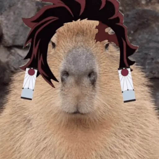 Capibara Random 🍉
