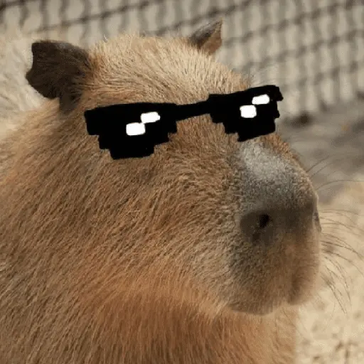 Capibara Random 🍉