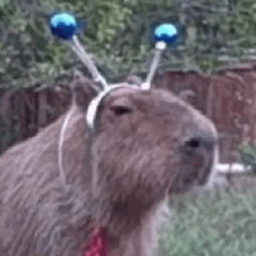 Capibara Random 🍉
