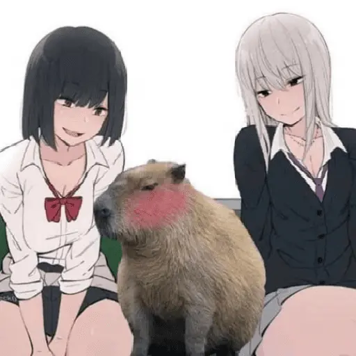 Capibara Random 🍉