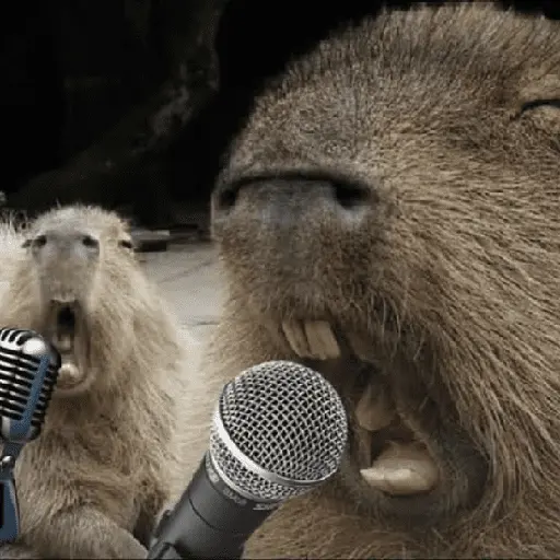 Capibara Random 🍉