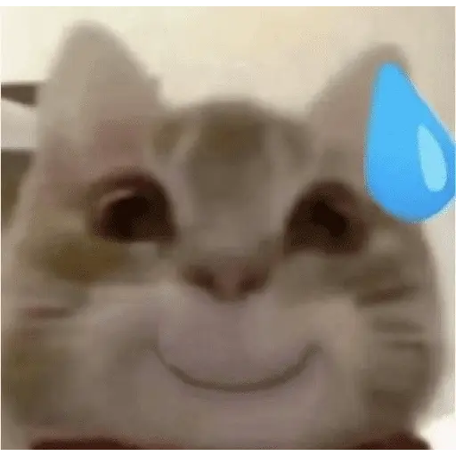 meme kucing 