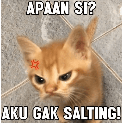 meme kucing  preview