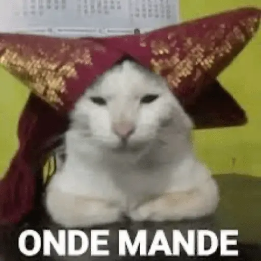 meme kucing 