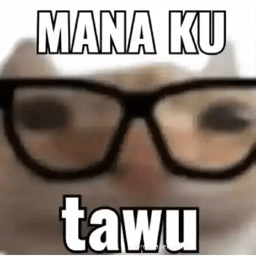 meme kucing 