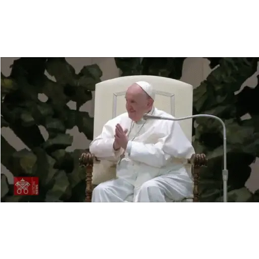PAPA FRANCISCO 🙏🏻🕊️ preview