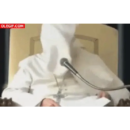 PAPA FRANCISCO 🙏🏻🕊️ preview