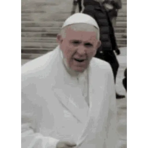 PAPA FRANCISCO 🙏🏻🕊️