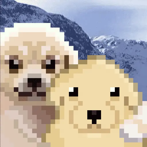 Memes random 👾 
