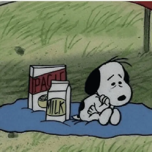 snoopy 😔