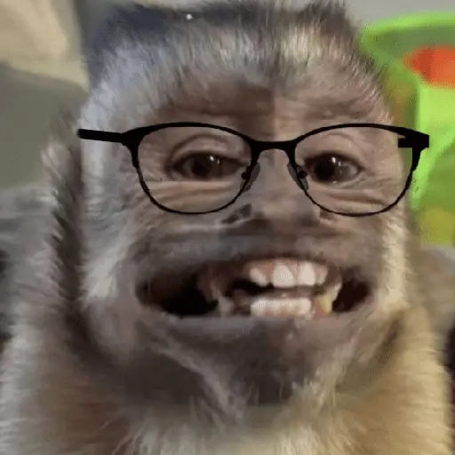 Monitos Random! 🐒