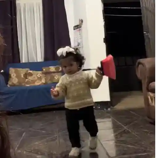 Virales de tiktok 📲