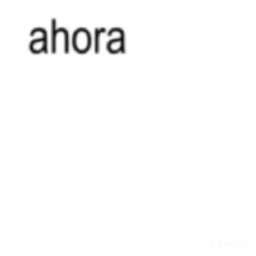 irene responde 📝