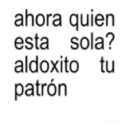 irene responde 📝 preview