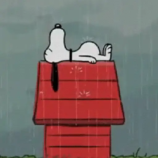 🦴🏠 SNOOPY 5 🏠🦴
