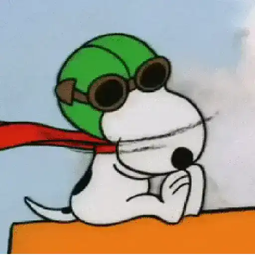 🦴🏠 SNOOPY 5 🏠🦴