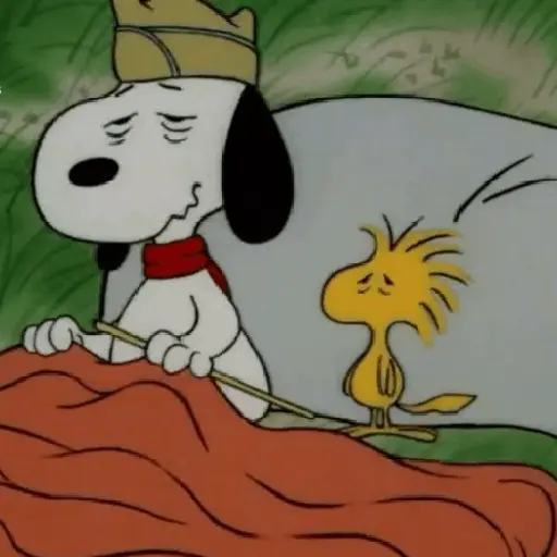 🦴🏠 SNOOPY 5 🏠🦴