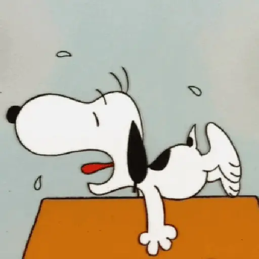 🦴🏠 SNOOPY 5 🏠🦴