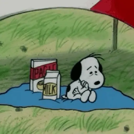 🦴🏠 SNOOPY 5 🏠🦴