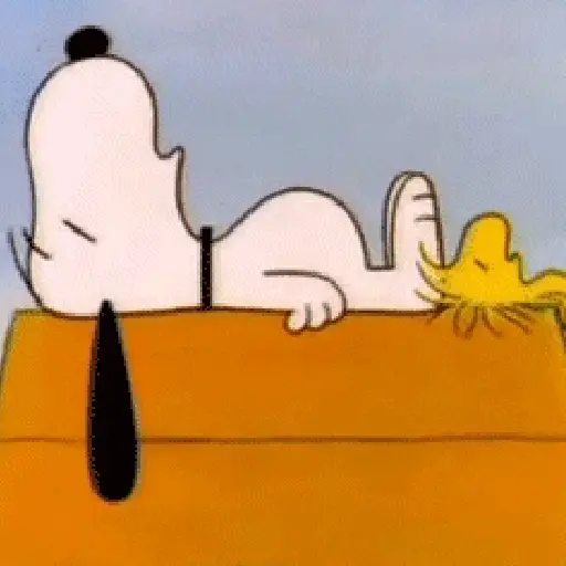 🦴🏠 SNOOPY 5 🏠🦴