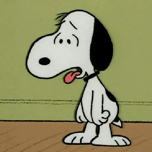 🦴🏠 SNOOPY 5 🏠🦴