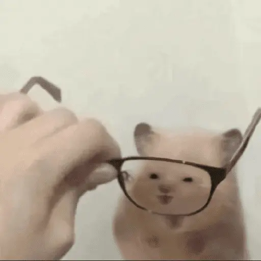 Más Animalitos!  🙊🐕