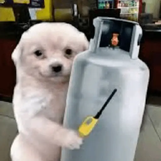 Más Animalitos!  🙊🐕