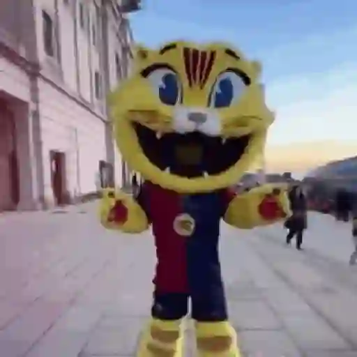 Futbol Barcelona 😎
