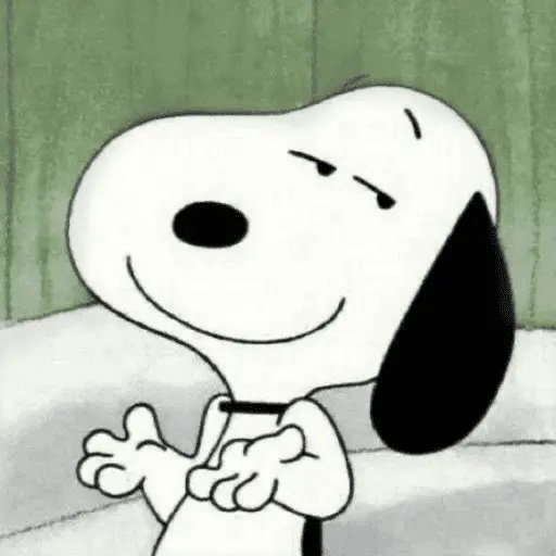 Stickers Snoopy sin contexto🐶