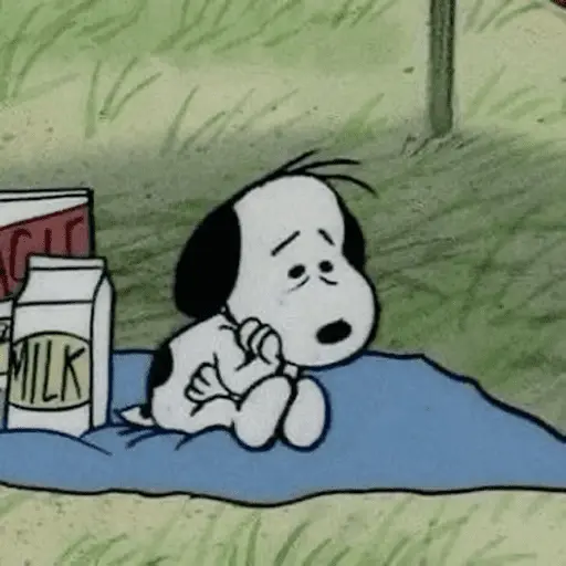 Stickers Snoopy sin contexto🐶
