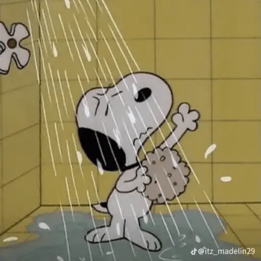 Stickers Snoopy sin contexto🐶