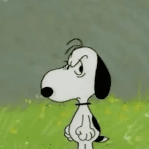 Stickers Snoopy sin contexto🐶
